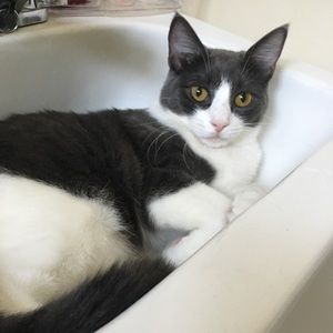 Meet your Posher, Mariah